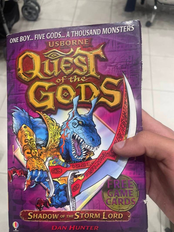 Quest of the Gods shadow of the storm lord  - Books*