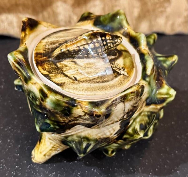 Seashell Sugar Bowl - Decor