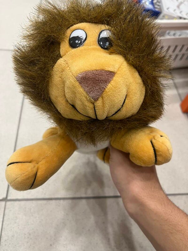 Lion Soft Toy - Toys