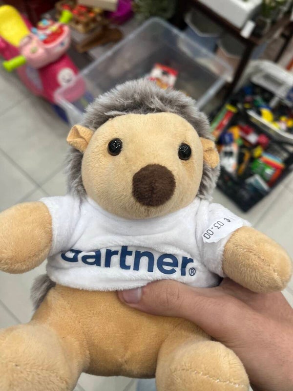 Gartner Hedgehog Plushie - Toys