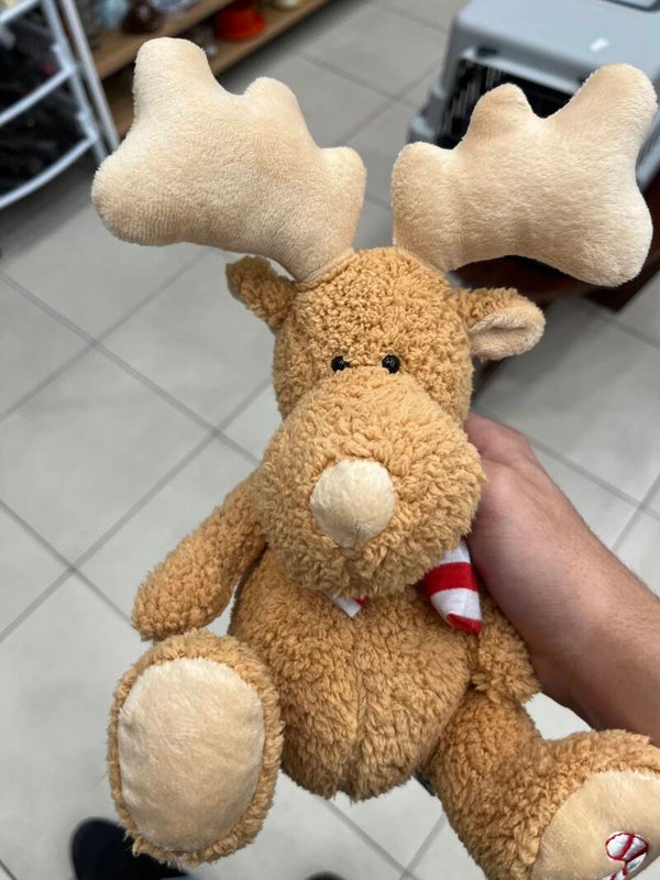Reindeer Plushie - Toys