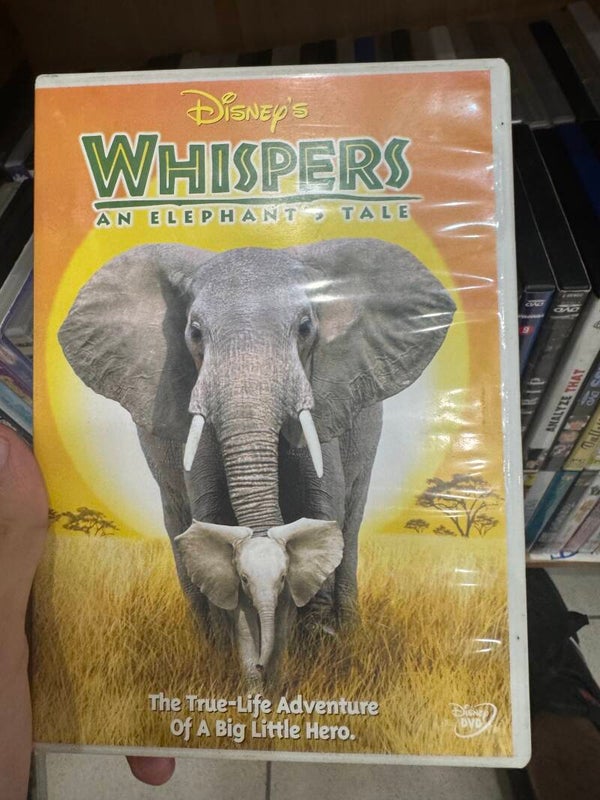 Disney Whispers: An elephants tale - movies*