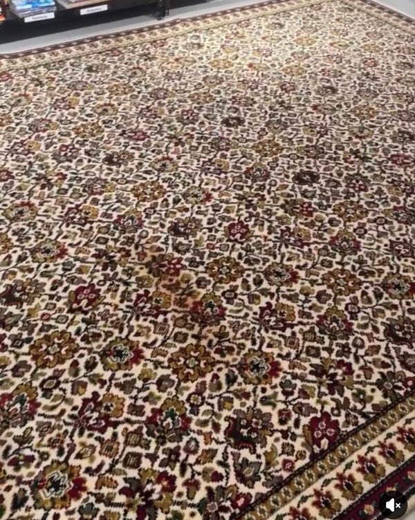 360 x 275cm Mega Carpet - Carpets