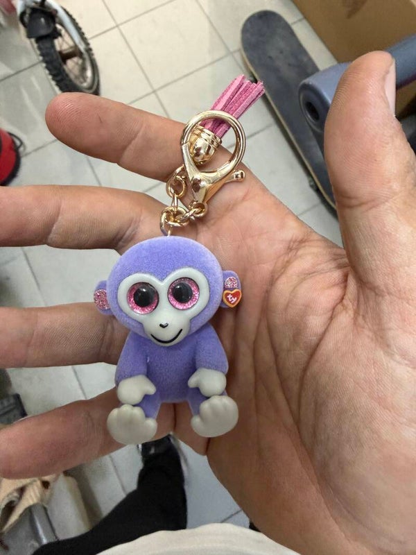 TY Keychain - Collectibles