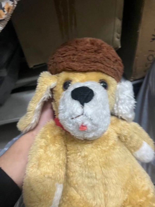 Dog soft toy - Toys*