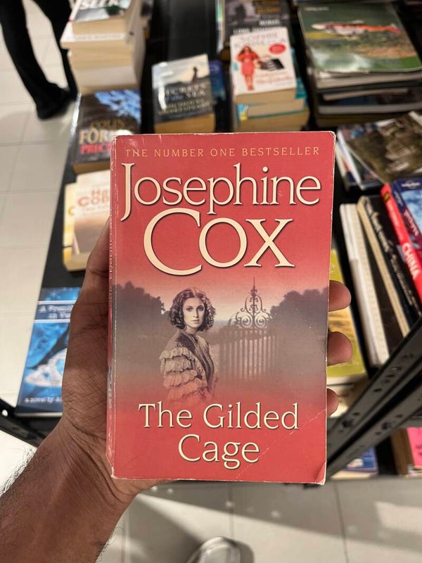 The Gilded Cage by Josephine Cox - Books