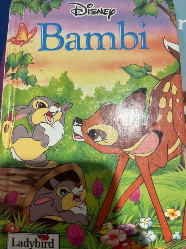 Disney Bambi - Books