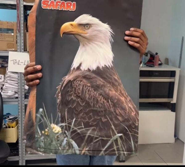 Eagle Safari Poster - Collectible*