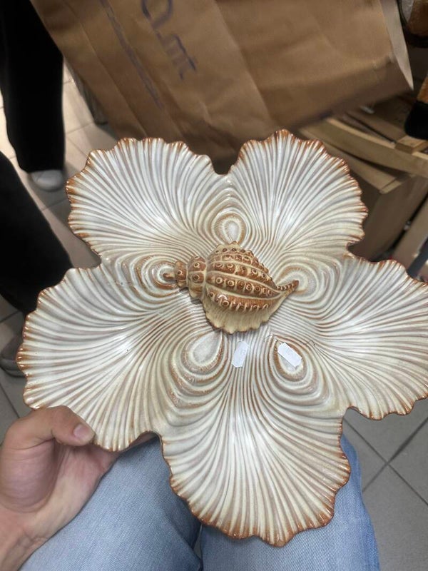 French Majolica / Barbotine Oyster Plate - Vintage*
