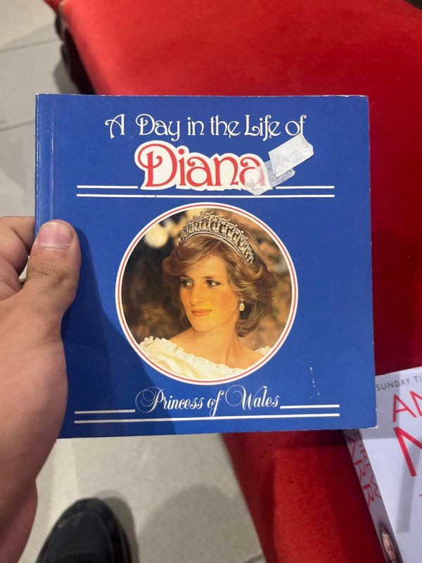 A day in the life of diana - books*