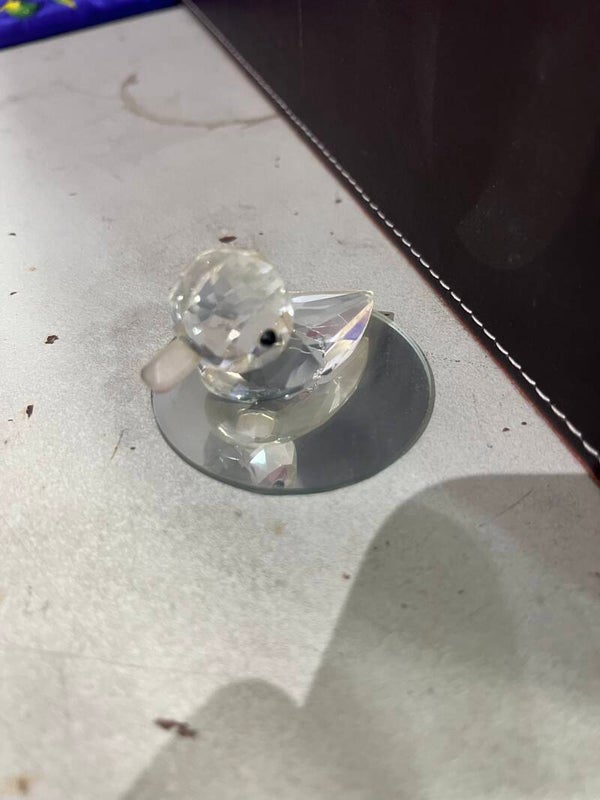 Duck In Glass - Collectibles