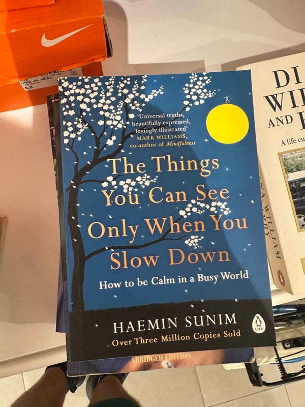 The Things You Can See Only When You Slow Down - Books*