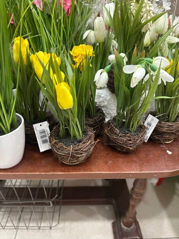 Artificial Plants €2 Each - Supplies*