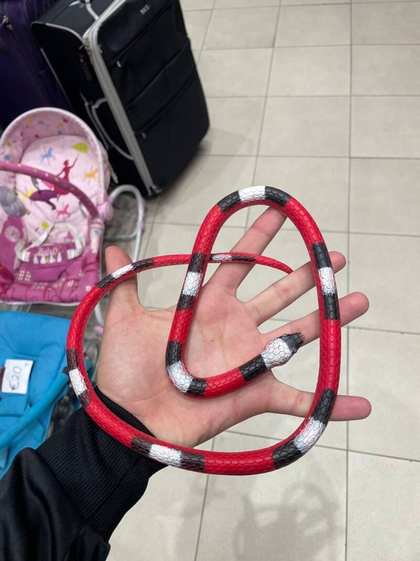 Rubber Snake - Toys