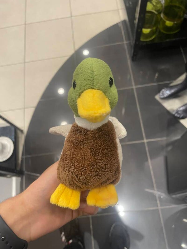 Duck Soft Toy - Toys