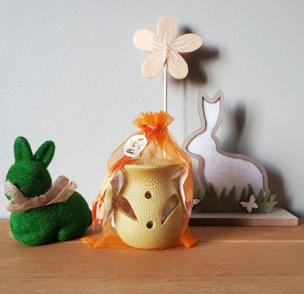🥕 Pack “Bonheur fondant”🥕