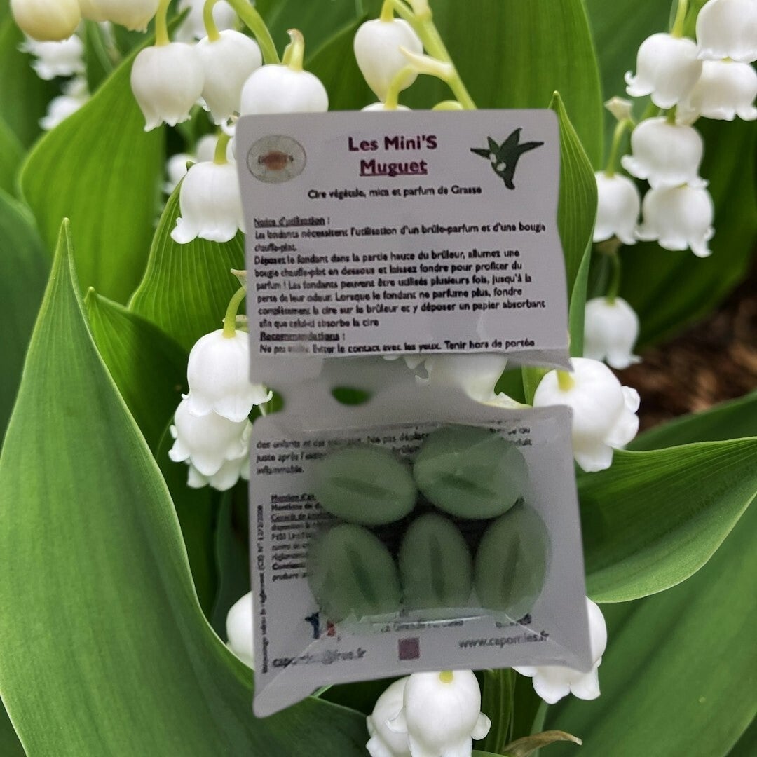 🍀 Les Mini'S 🍀 "1er Mai"