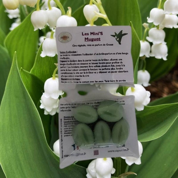 🍀 Les Mini'S 🍀 "1er Mai"