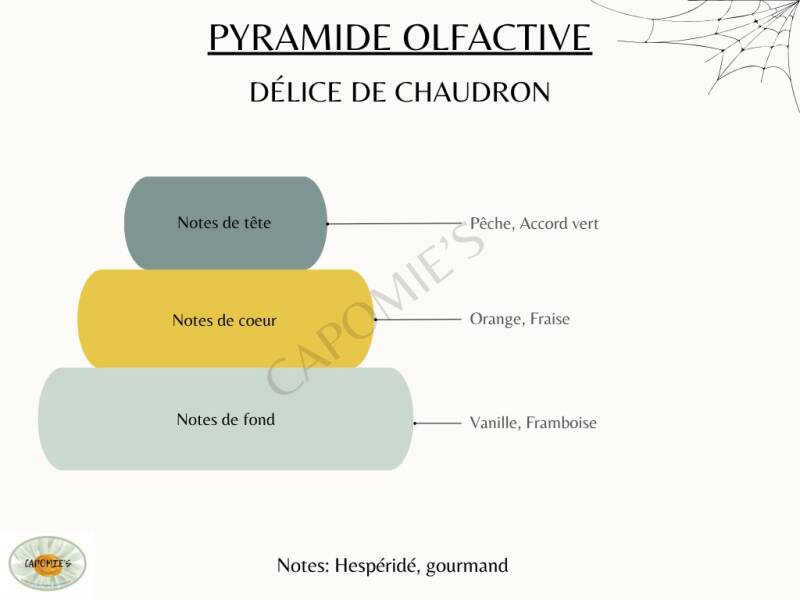 d-lice-de-chaudron-1-standard.jpg