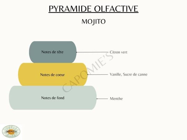 Diffuseur voiture "Mojito"