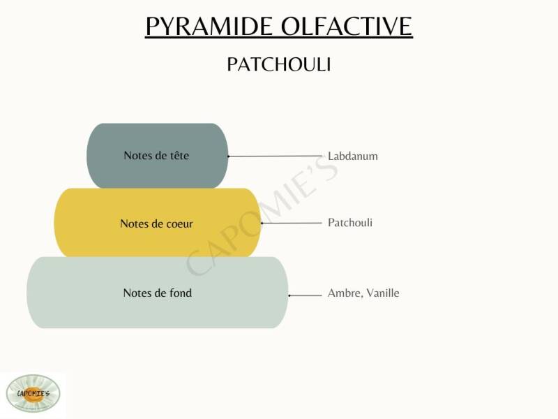 patchouli-1-standard-fv8sfb.jpg