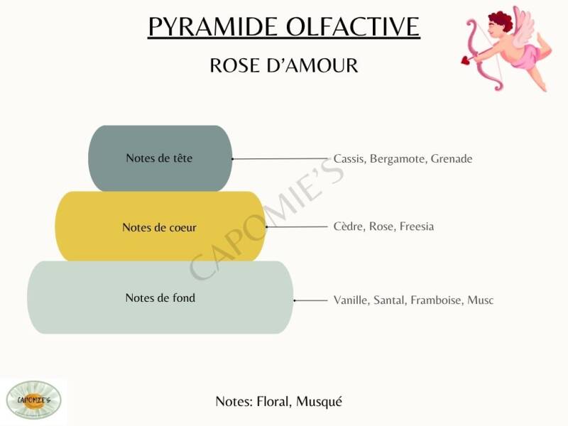 rose-d-amour-1-standard-lcjtq3.jpg