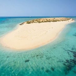 schnorchelausflug-am-sataya-dolphin-reef-in-marsa-alam-2-1-standard.jpg