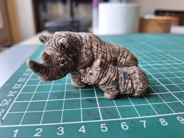 Neushoorn met jong bruin