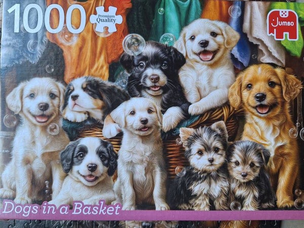 Dogs in a Basket