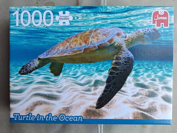 Turtle in the Ocean