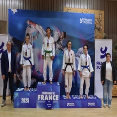 romane-santailler-jiu-jitsu-br-silien-standard.jpg