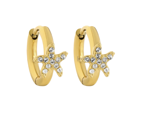 Star diamant oorbellen