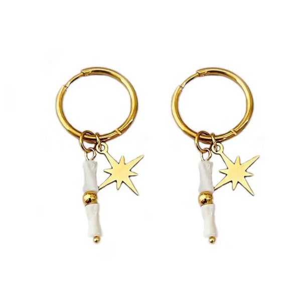 White star oorbellen
