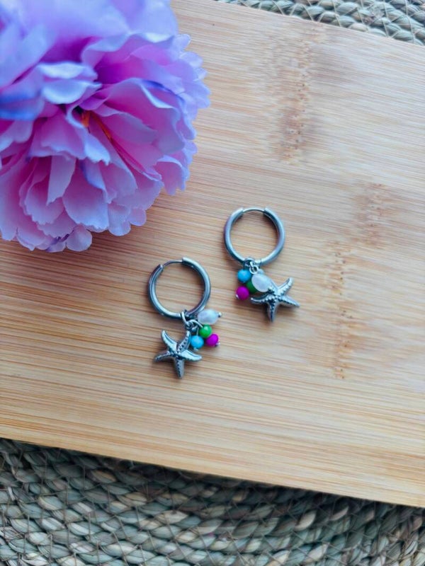 Mini star oorbellen zilver