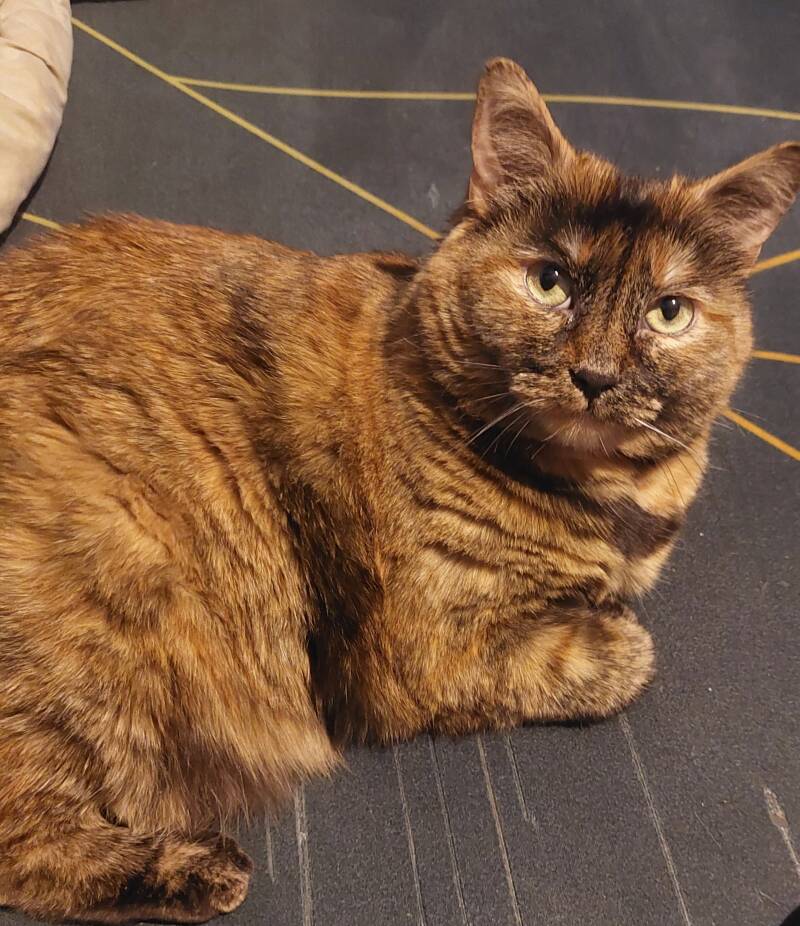 Cassie yeux vers la camera