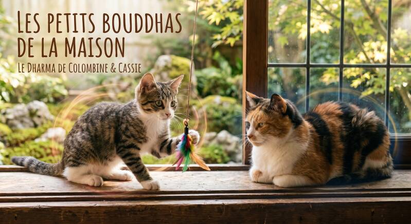 Unlock Zen secrets with your cats! Read how Colombine and Cassie's unique temperaments perfectly illustrate the Buddhist Middle Way.