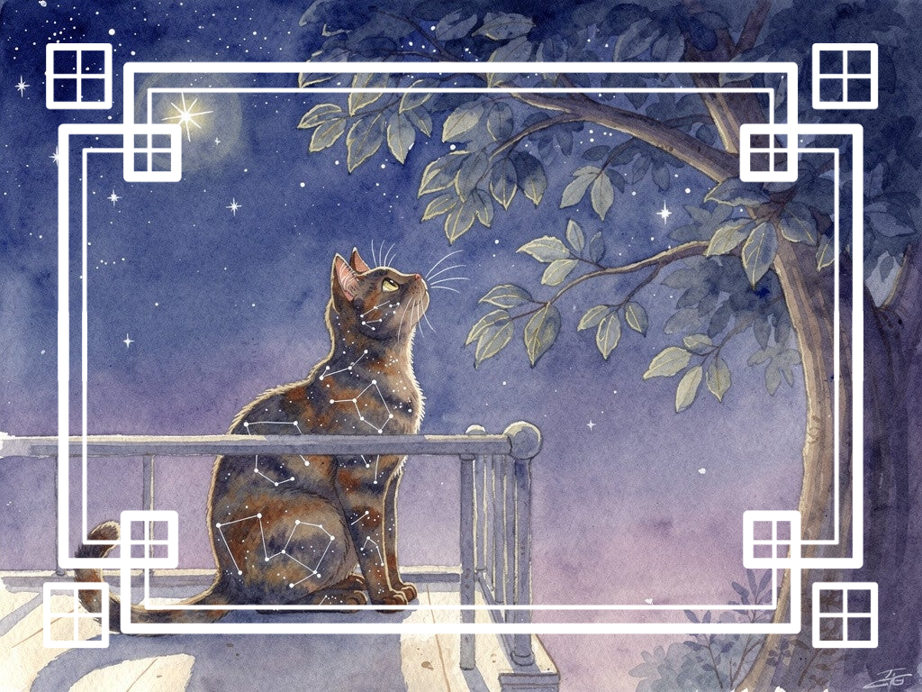Cassie et le platane : Une illustration douce de Cassie, votre chat, assise sur un balcon sous un platane majestueux, avec des étoiles (dont Sirius) scintillant dans le ciel et des motifs de constellations sur son pelage.