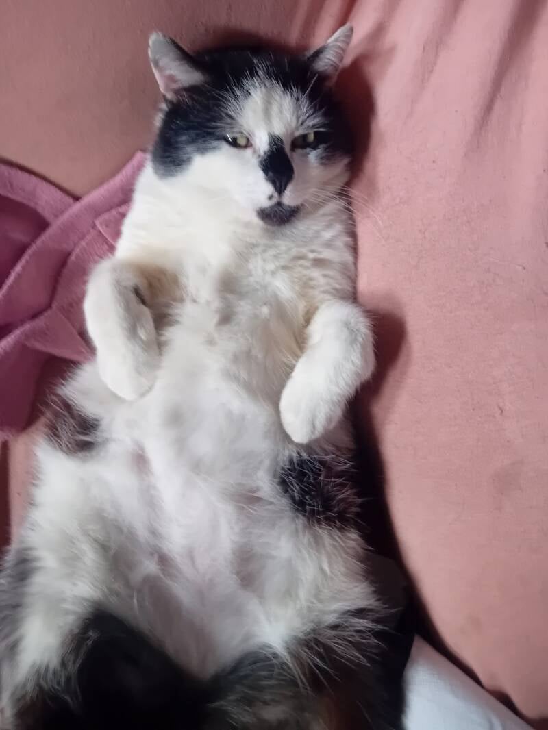 Toto quand ma mère est rentré de l&#039;hôpital 