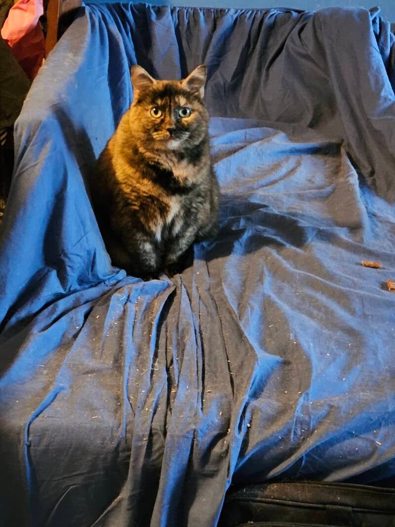 Cassie avec ses yeux qui me dis donne moi à mangé 