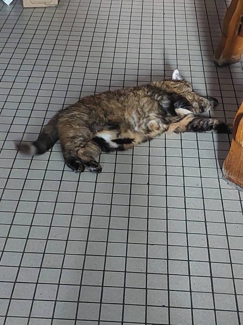 Cassie méditation improvisée 