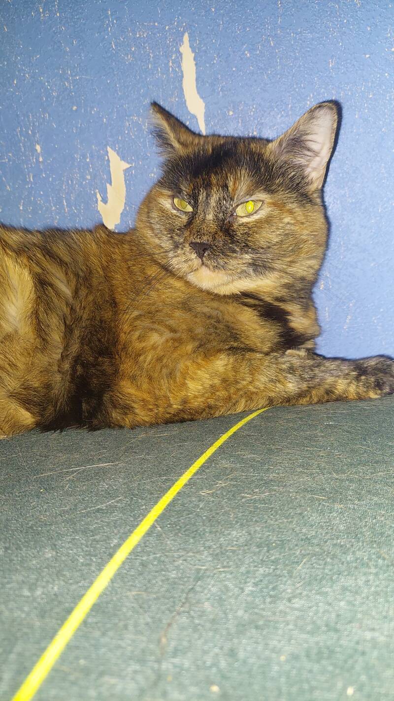 Cassie qui écoute la musique 