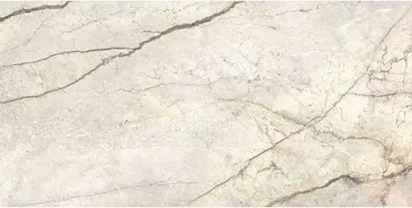 SILVER ROOT WHITE 60X120