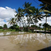 Bali