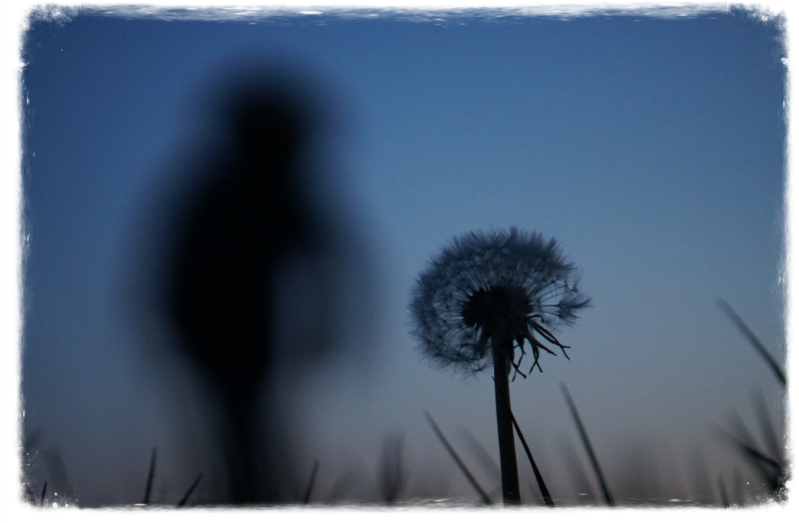 Bestel bij werkaandemuur