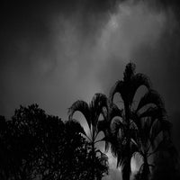 Skies