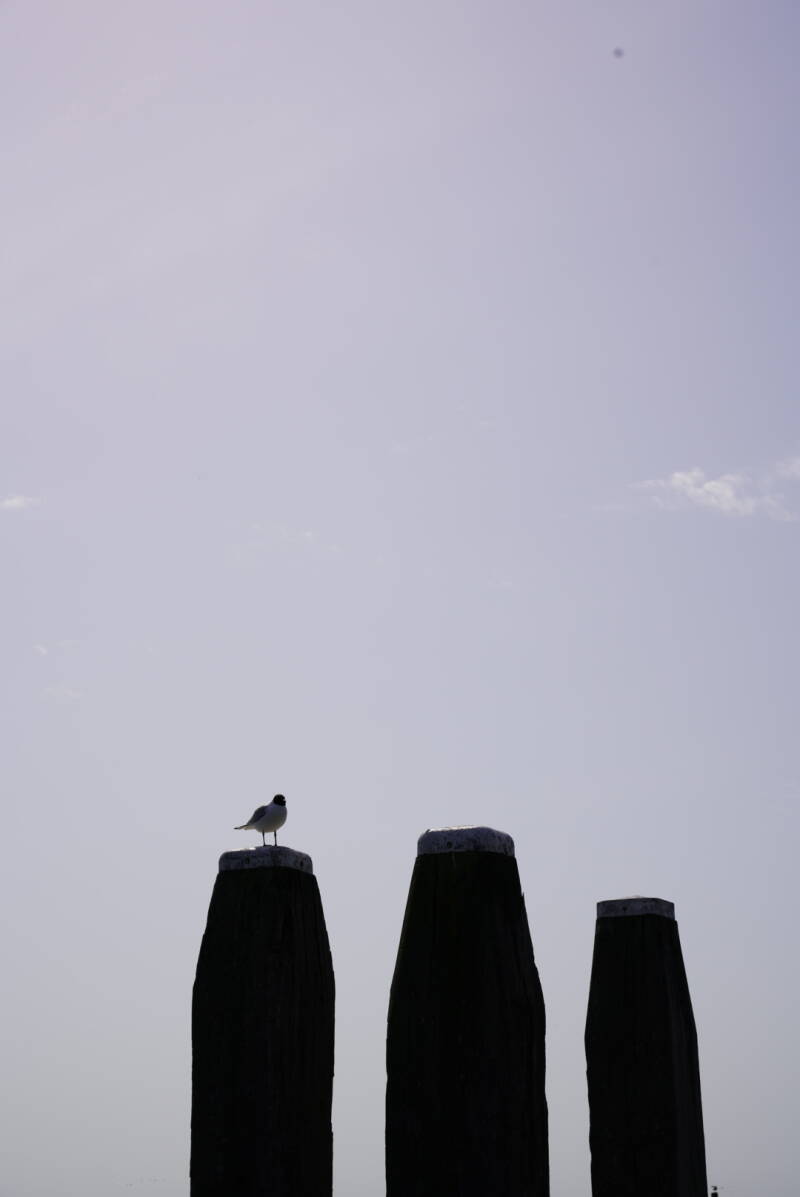 8c48ad0e-ac08-4b5e-95c6-a168c8fba156.jpeg