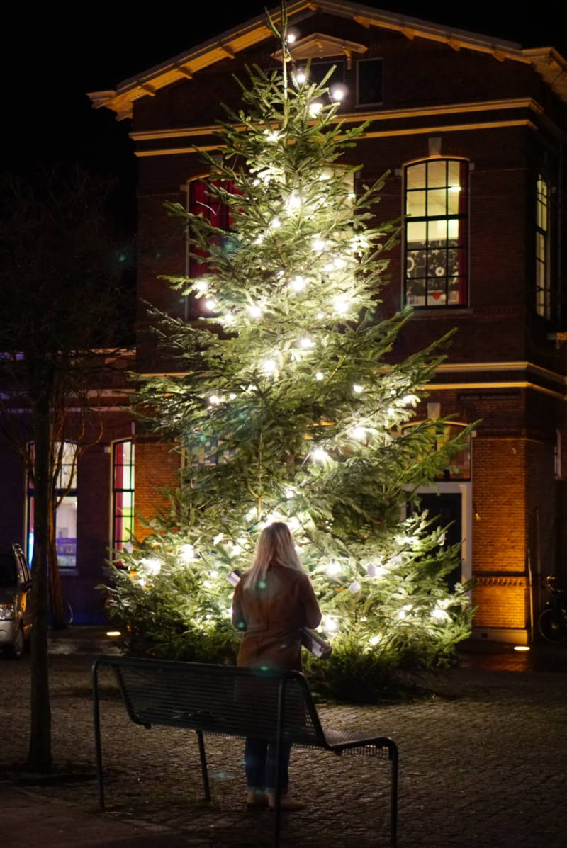 Projrct : twinkeltje winsum 