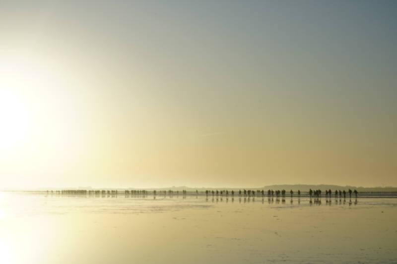 Wadlopen 21 sept 2019 