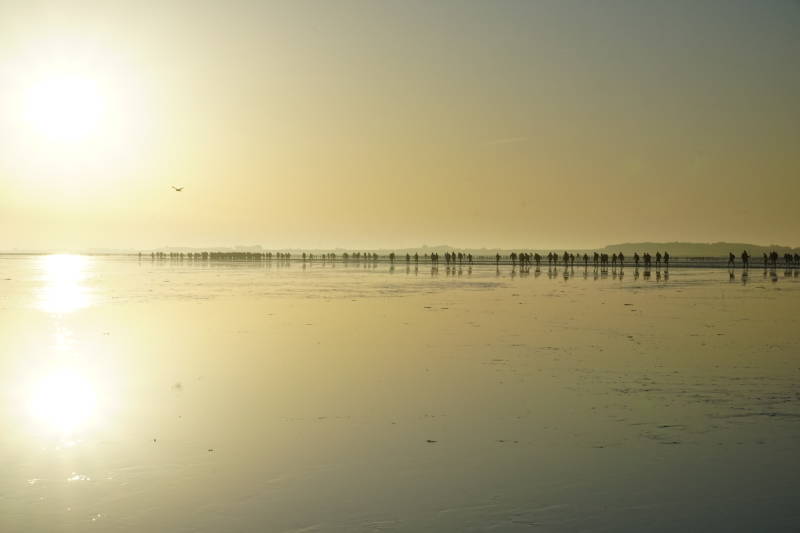 Wadlopen 21 sept 2019 