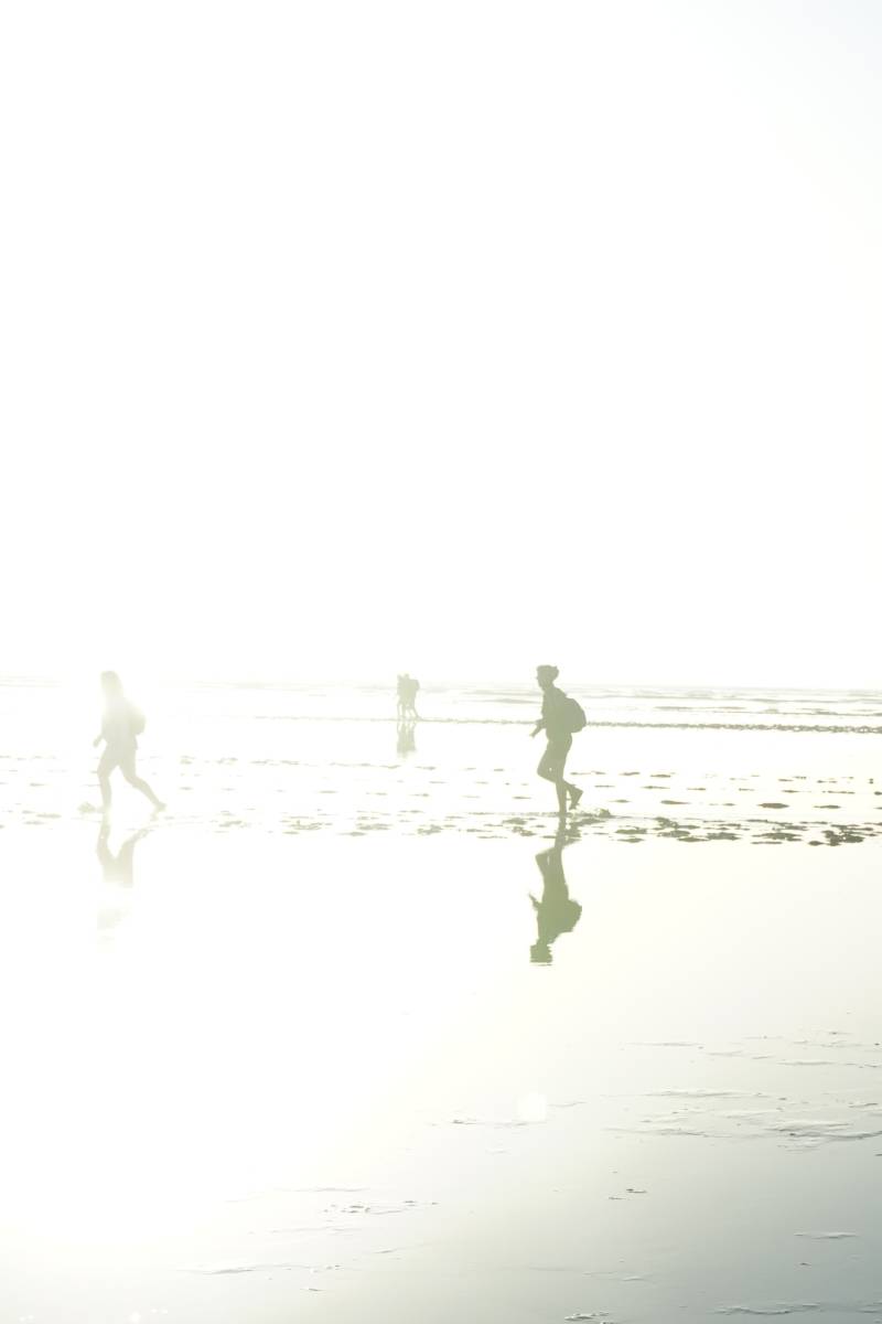 Wadlopen 21 sept 2019 